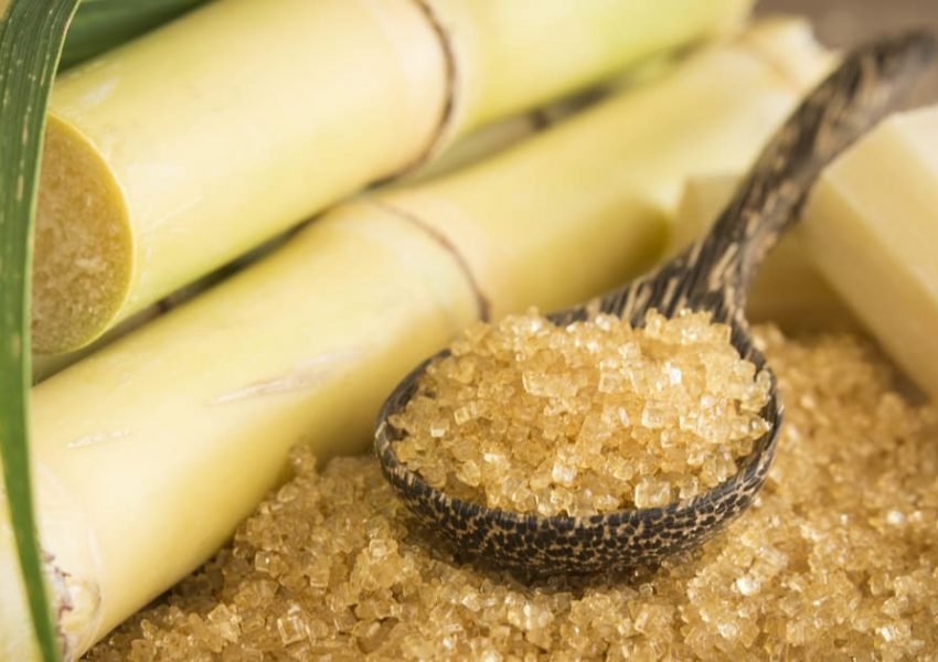 sugar-of-canes